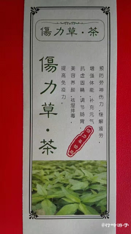 伤力草